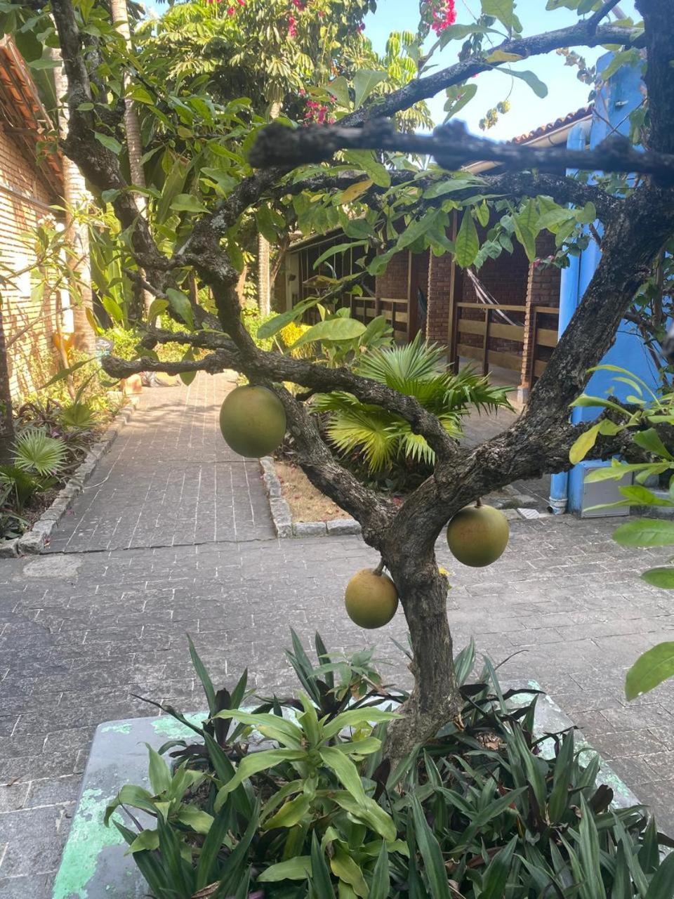 Pousada Aconchego Marechal Deodoro Exteriér fotografie